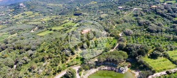 6 bedrooms Villa in Palau, Italy No. 19379 27