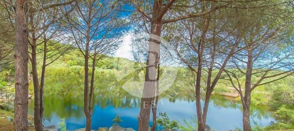 6 bedrooms Villa in Palau, Italy No. 19379 10