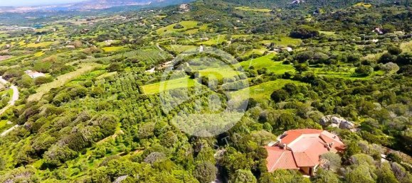 6 bedrooms Villa in Palau, Italy No. 19379 44