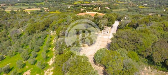 6 bedrooms Villa in Palau, Italy No. 19379 29