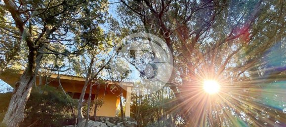 6 bedrooms Villa in Palau, Italy No. 19379 50