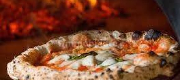 2 rooms Commercial property in Pisa, Italy No. 70382 5