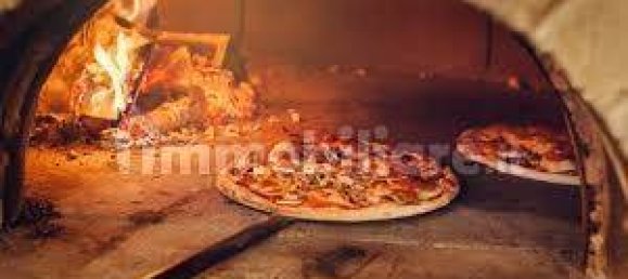 2 rooms Commercial property in Pisa, Italy No. 70382 4