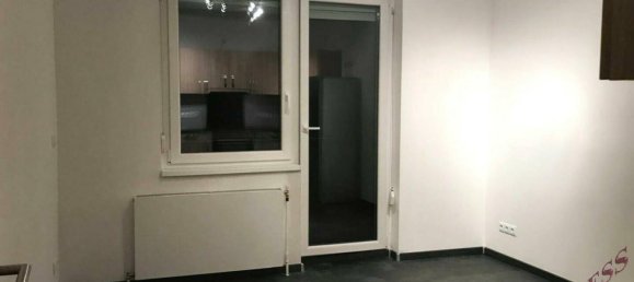 Коммерческая недвижимость с 15 комнатами в Подерсдорф ам Зе, Австрия № 234191 48