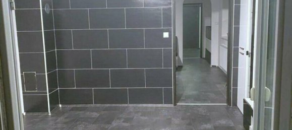 Коммерческая недвижимость с 15 комнатами в Подерсдорф ам Зе, Австрия № 234191 46