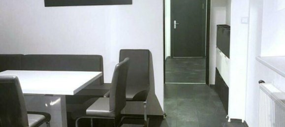 Коммерческая недвижимость с 15 комнатами в Подерсдорф ам Зе, Австрия № 234191 3