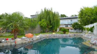 Коммерческая недвижимость с 15 комнатами в Подерсдорф ам Зе, Австрия № 234191