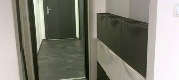 Коммерческая недвижимость с 15 комнатами в Подерсдорф ам Зе, Австрия № 234191 45