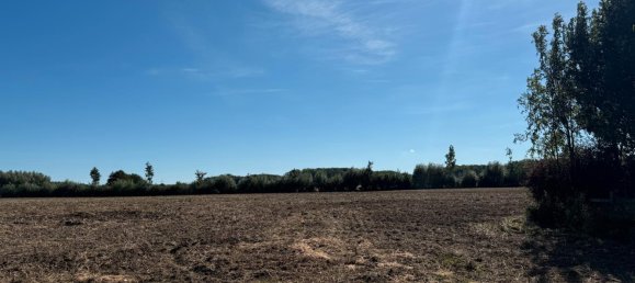 4-Zimmer Stadthaus in Schleswig-Flensburg, Germany, Nr. 363087 15