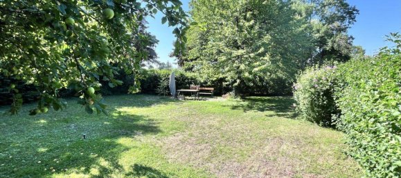 2-Zimmer Haus in Klosterneuburg, Austria, Nr. 197356 17