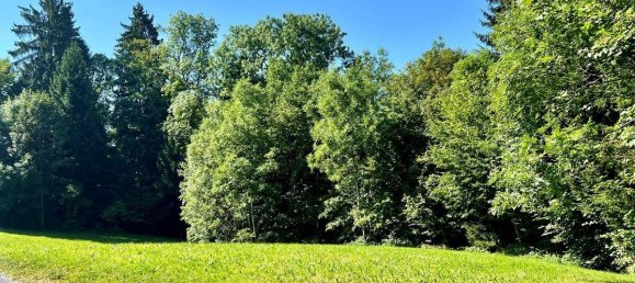 Terreno en Dornbirn, Austria 597 m² No. 35081 2