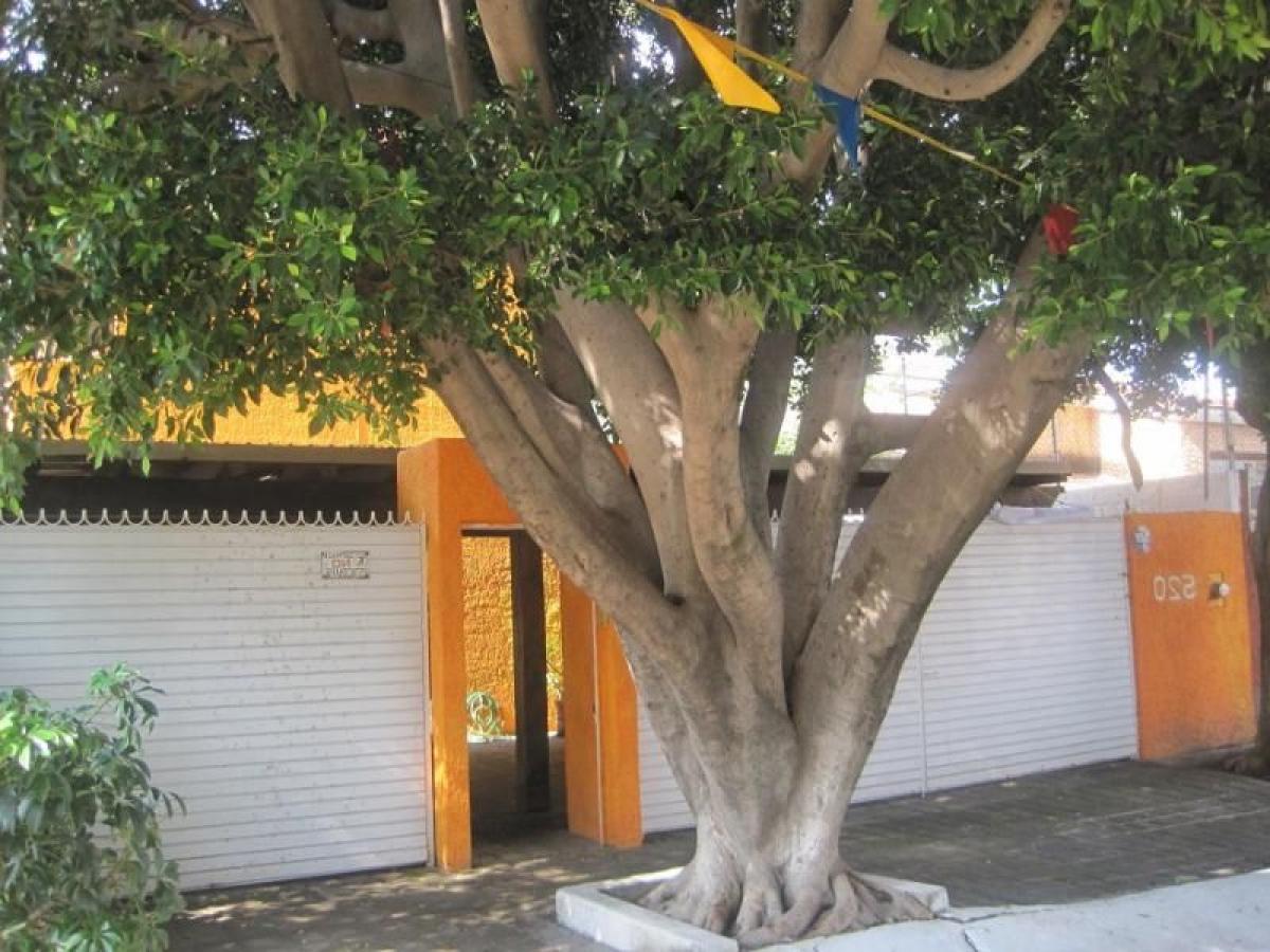 5 غرف نوم منزل في Jalisco, Mexico رقم 172354