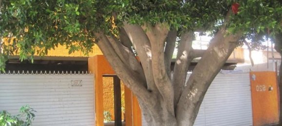 5 غرف نوم منزل في Jalisco, Mexico رقم 172354 2