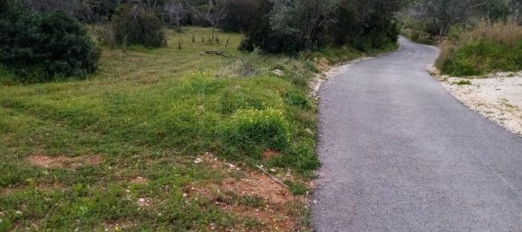  قطعة أرض في Loule, Portugal 1930متر مربع رقم 60006 8