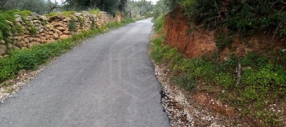  قطعة أرض في Loule, Portugal 1930متر مربع رقم 60006 4