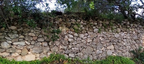  قطعة أرض في Loule, Portugal 1930متر مربع رقم 60006 10