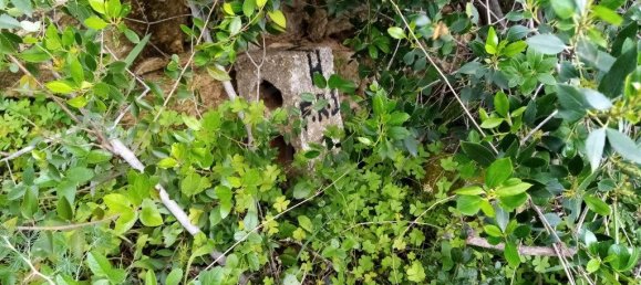  قطعة أرض في Loule, Portugal 1930متر مربع رقم 60006 7