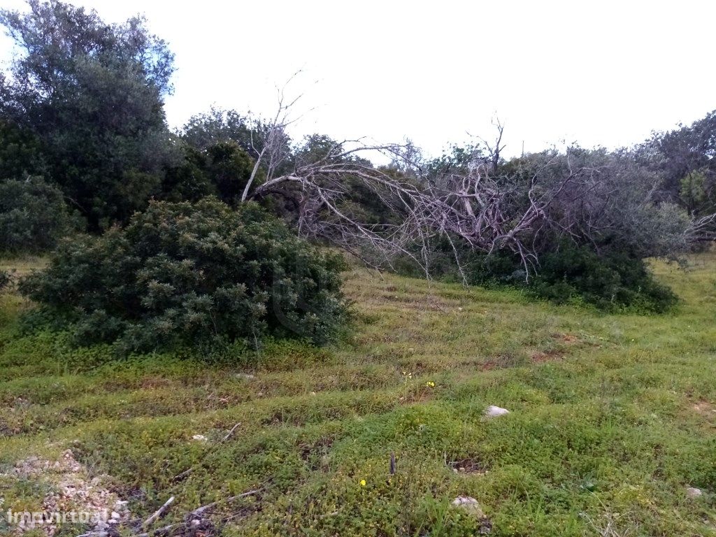  قطعة أرض في Loule, Portugal 1930متر مربع رقم 60006