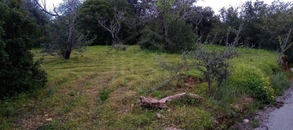  قطعة أرض في Loule, Portugal 1930متر مربع رقم 60006 2