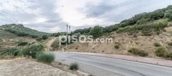 Terrain à Antequera, Spain No. 74303 11