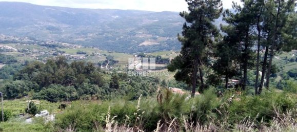 Grundstück in Baiao, Portugal 6000m², Nr. 56177 7