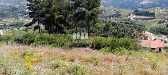 Grundstück in Baiao, Portugal 6000m², Nr. 56177 13