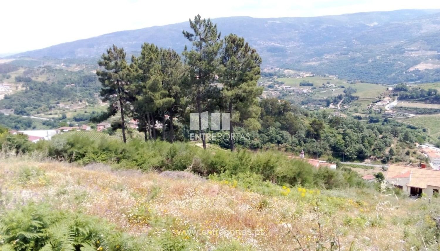 Grundstück in Baiao, Portugal 6000m², Nr. 56177