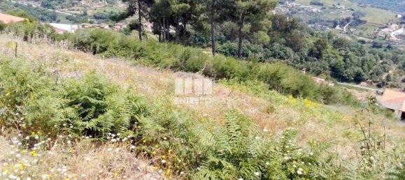 Grundstück in Baiao, Portugal 6000m², Nr. 56177 8