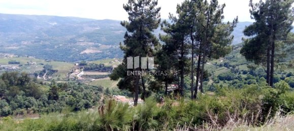 Grundstück in Baiao, Portugal 6000m², Nr. 56177 11