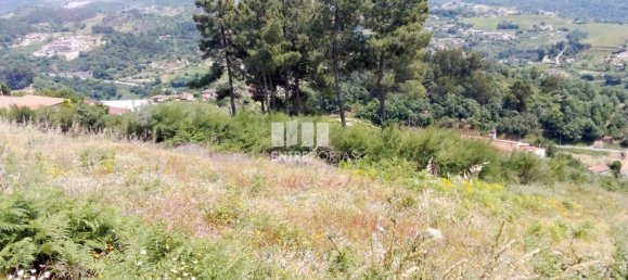 Grundstück in Baiao, Portugal 6000m², Nr. 56177 9