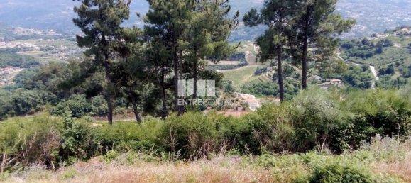 Grundstück in Baiao, Portugal 6000m², Nr. 56177 15