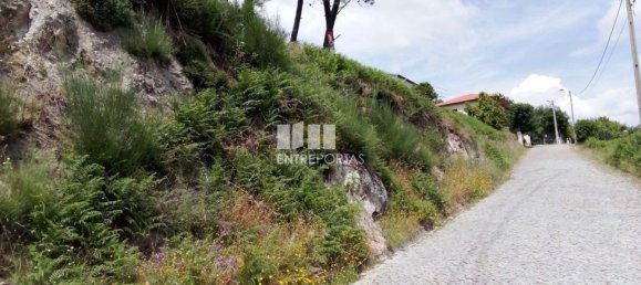 Grundstück in Baiao, Portugal 6000m², Nr. 56177 4