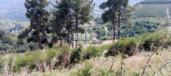 Grundstück in Baiao, Portugal 6000m², Nr. 56177 19