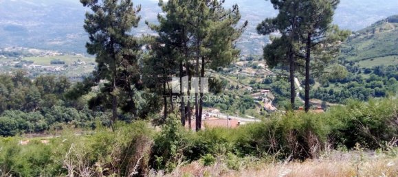 Grundstück in Baiao, Portugal 6000m², Nr. 56177 12