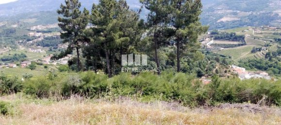 Grundstück in Baiao, Portugal 6000m², Nr. 56177 17