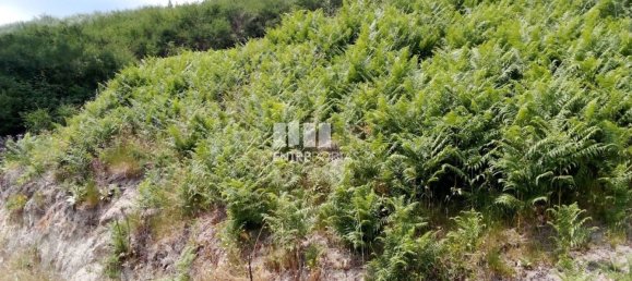 Grundstück in Baiao, Portugal 6000m², Nr. 56177 21