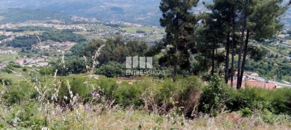 Grundstück in Baiao, Portugal 6000m², Nr. 56177 18