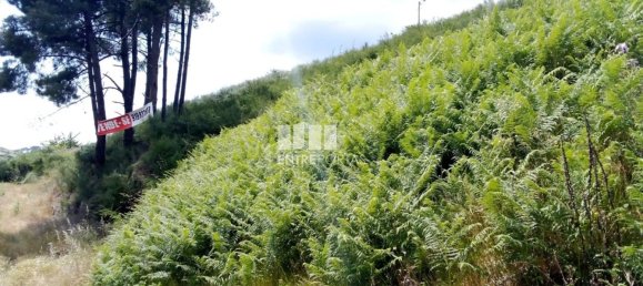 Grundstück in Baiao, Portugal 6000m², Nr. 56177 5