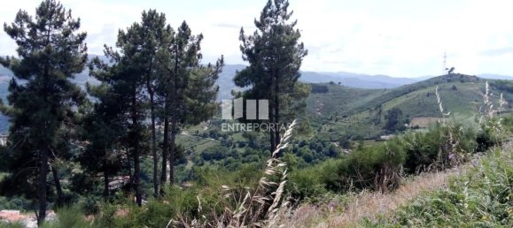 Grundstück in Baiao, Portugal 6000m², Nr. 56177 2