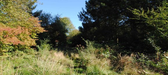  قطعة أرض في Wandsbek, Germany رقم 68812 5