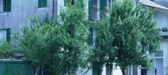 6غرفة منزل في Rezzoaglio, Italy رقم 268736 10