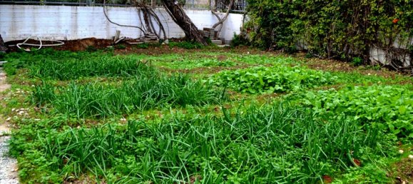 Коммерческая недвижимость с 4 спальнями в Ксилокастрон, Греция № 6007 16