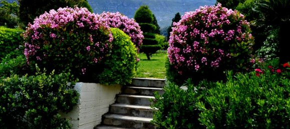 Коммерческая недвижимость с 4 спальнями в Ксилокастрон, Греция № 6007 3