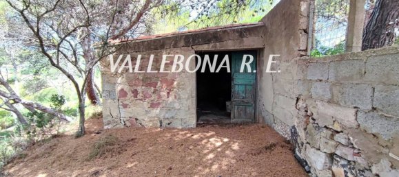 7 rooms Villa in Sardinia, Italy No. 244475 39