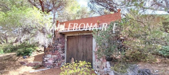 7 rooms Villa in Sardinia, Italy No. 244475 45