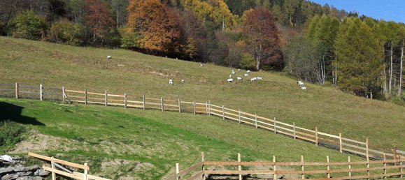 Grundstück in Unternberg, Austria, Nr. 52178 2