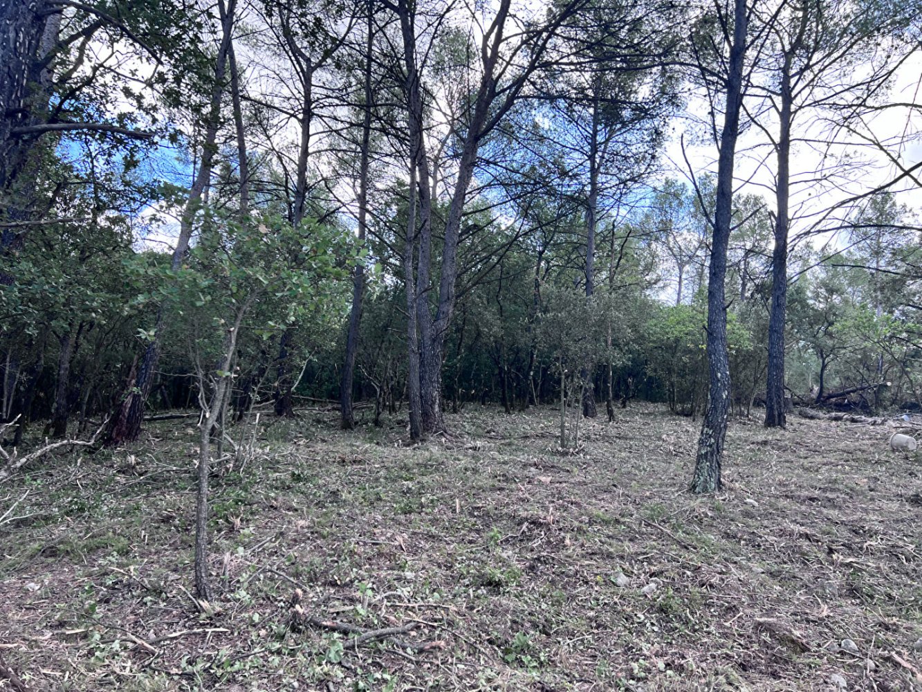 1000m² Land in Rocbaron, France No. 109636