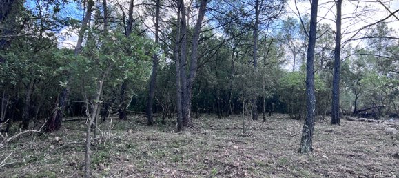 1000m² Land in Rocbaron, France No. 109636 3