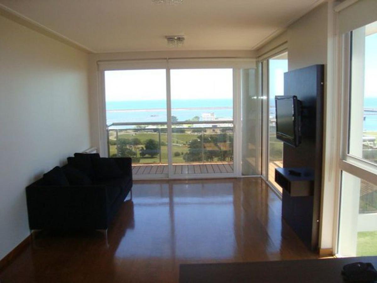 Studio in Mar del Plata, Argentina, Nr. 88496