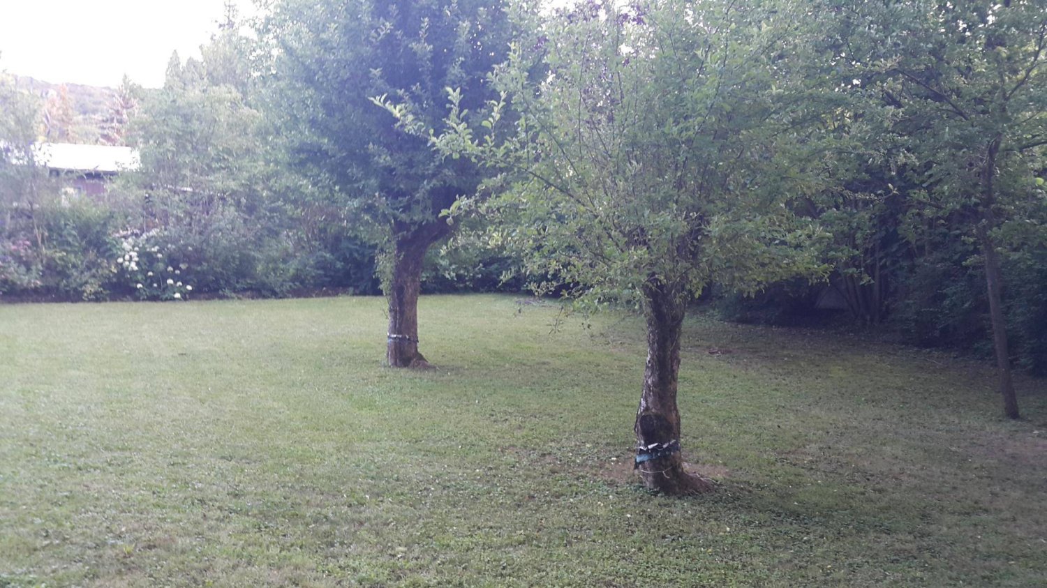 4 rooms Land in Breitenfurt bei Wien, Austria No. 202414